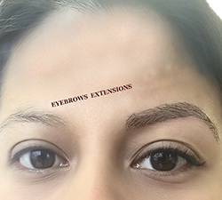 Eyebrow Extensions 